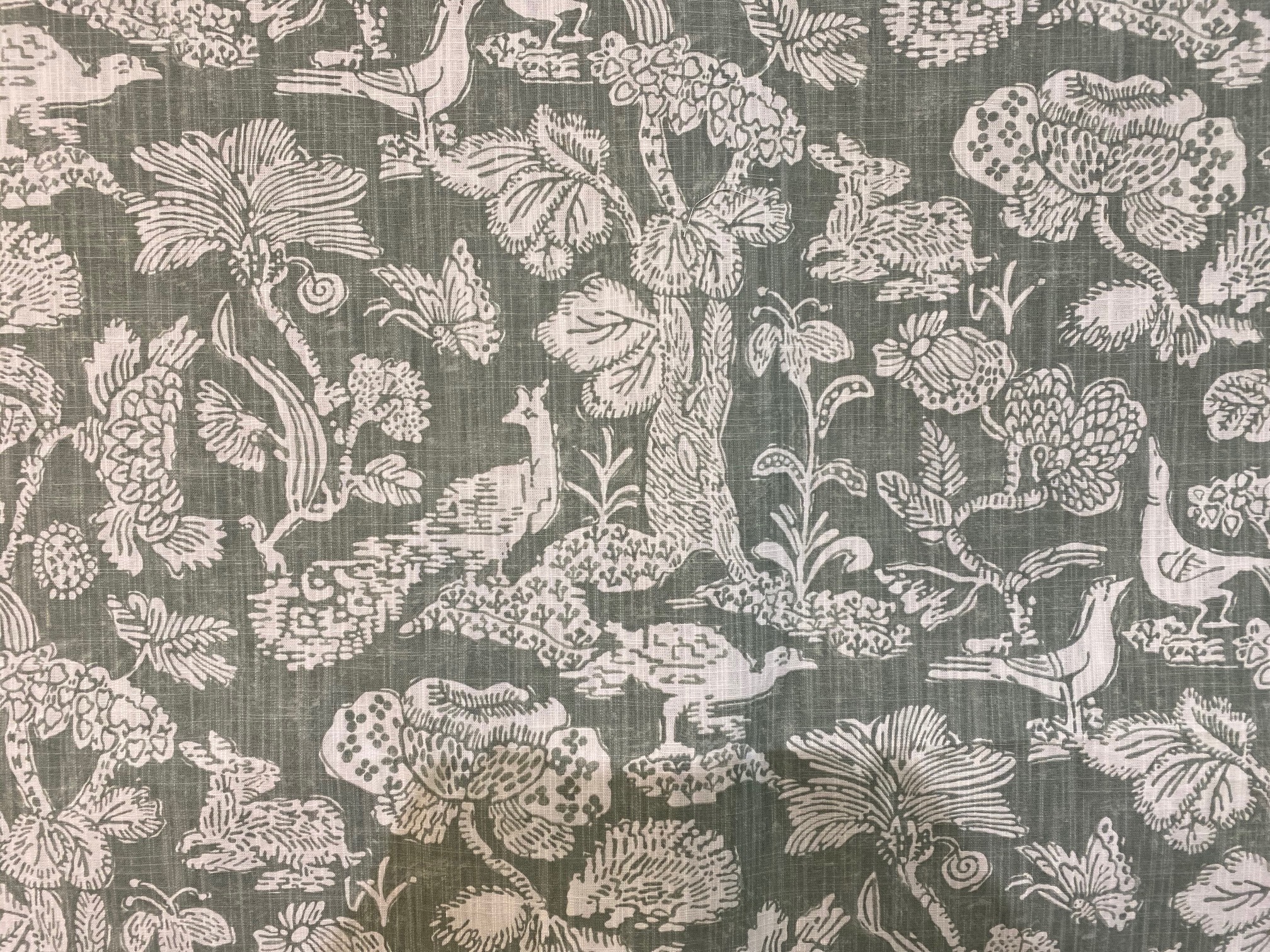 7851 Lichen