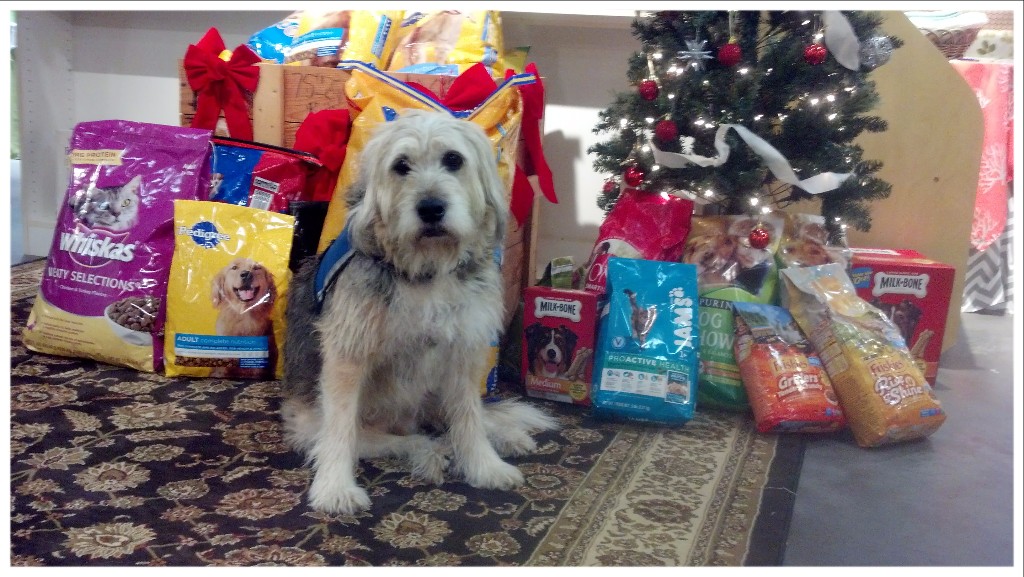 Christmas Pets Need Food Christmas Pets Need Food
