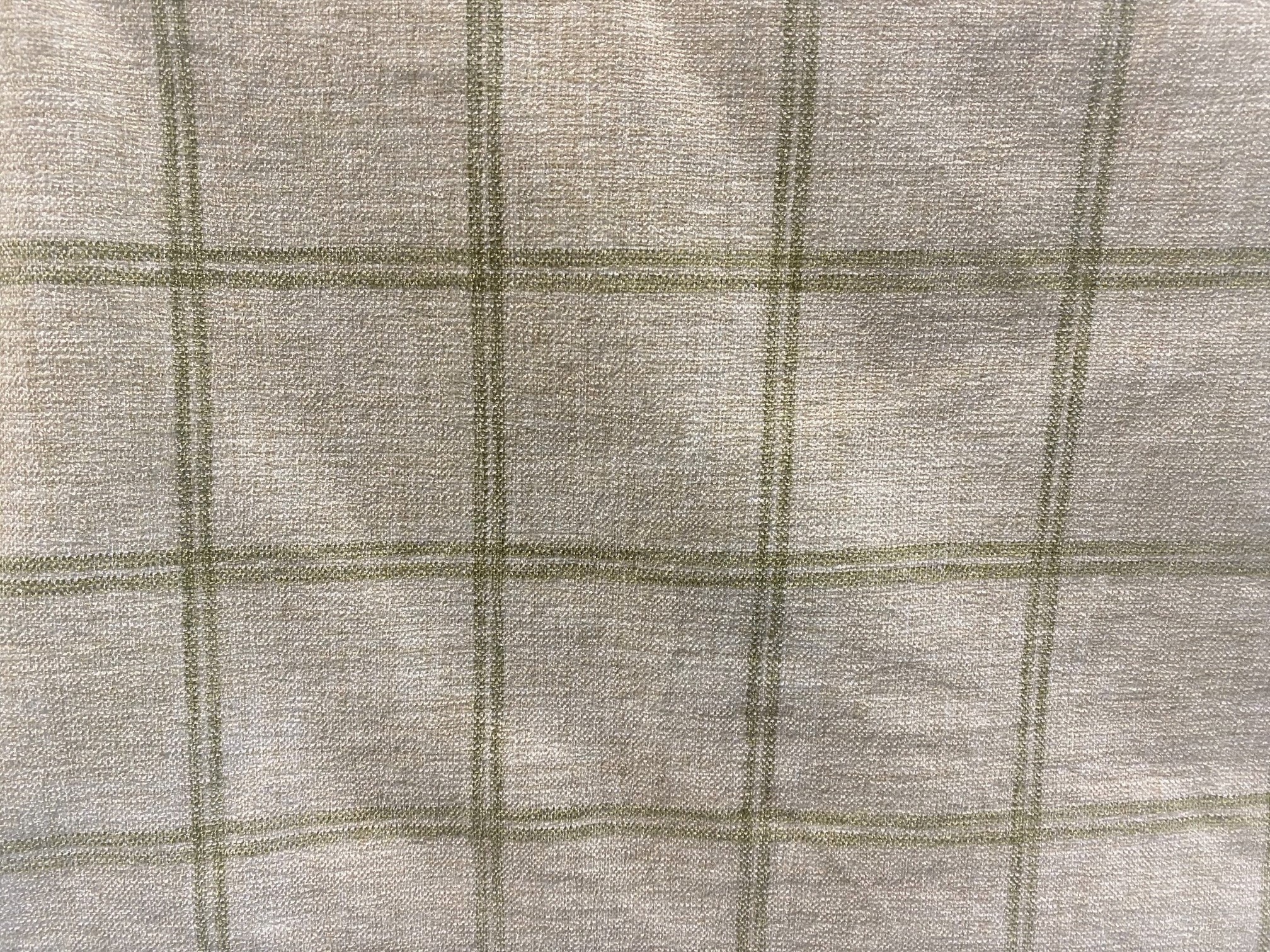 7841 - Kiwi