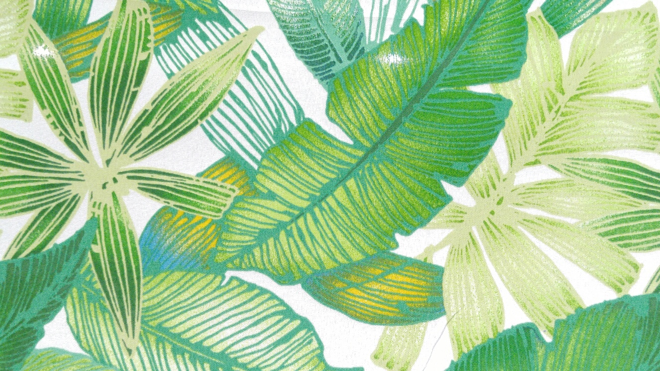 5701 - Palm