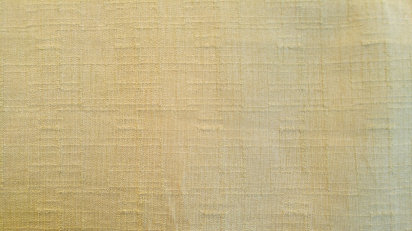 6088 - Jasmine