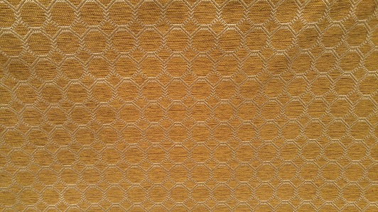 5709 - Vicuna