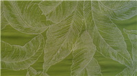 6377 - Verde