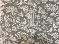 7851 Lichen