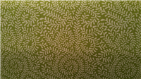 5001 - Citrus