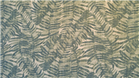 6835 - Eucalyptus