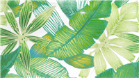 5701 - Palm