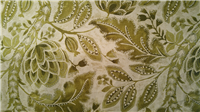 4893 - Moss