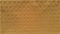 5709 - Vicuna