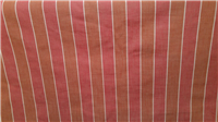 4987 - Coral